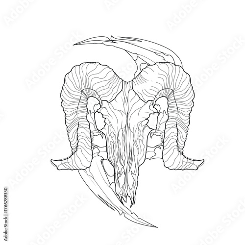 illustration skull and satan