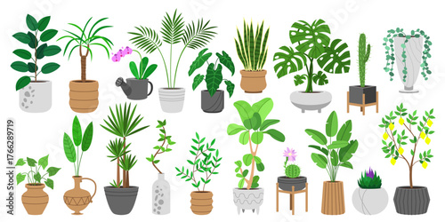 vector flat Plants in pots set. Clip art isolated on transparent background.
