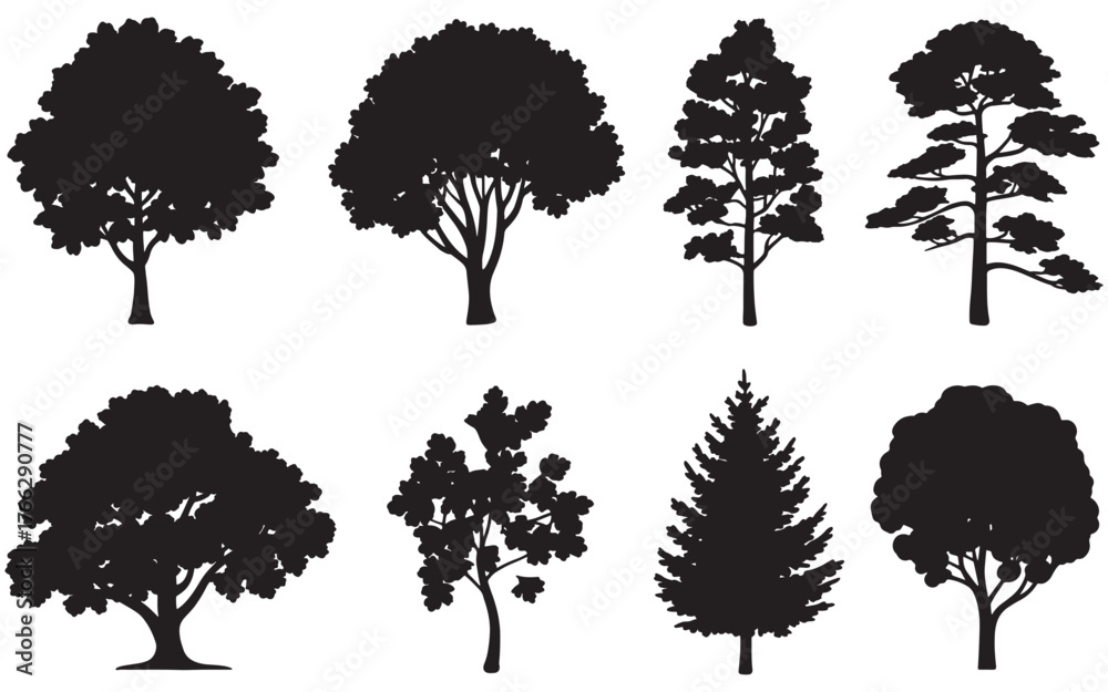 Fototapeta premium Variety of Tree Silhouettes for Ecological Studies and Design Elements