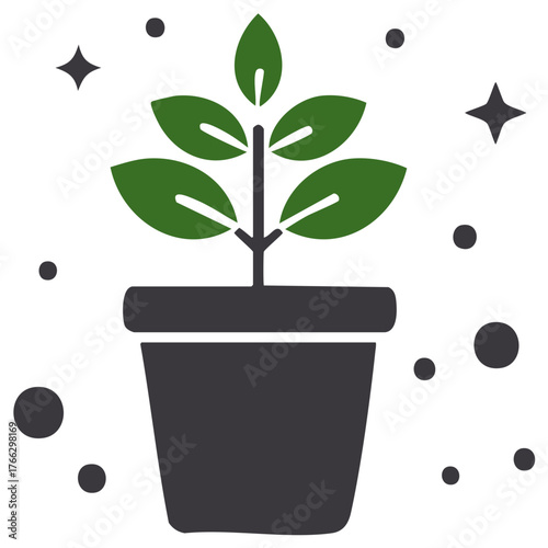 Minimalist green plant in a dark pot with sparkling elements symbolizing growth and nurture