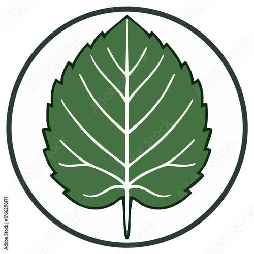Stylized Linden Leaf Icon in Circle, Botanical Illustration for Nature and Eco-Friendly Design