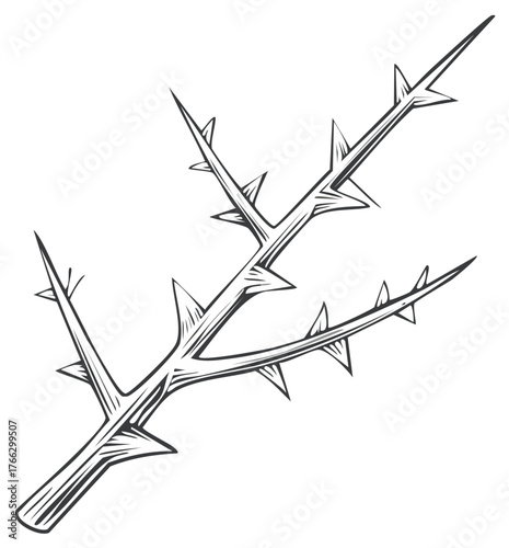 Detailed illustration of a thorny plant branch with sharp spikes in a graphic style