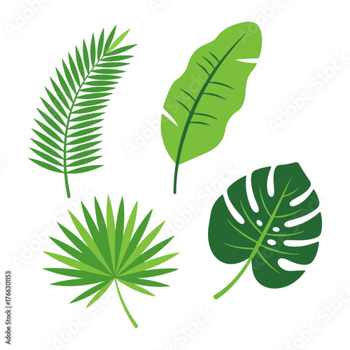 A collection of four different stylized green tropical leaves isolated on a white background.