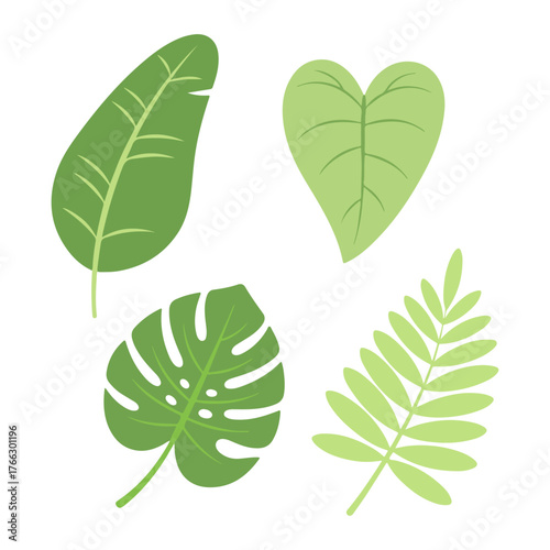Green tropical leaves, each with unique shapes and vein patterns.