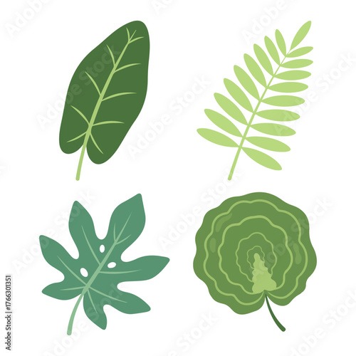 A collection of four stylized green leaves, each with a unique shape and vein pattern, set against a white background.