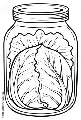 Jar of Cabbage:  Vegetable, Fermented, Pickled Food, Vector Illustration.