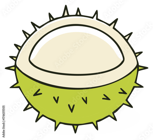 Open Spiky Chestnut Illustration Vector Graphic for Autumn Themes