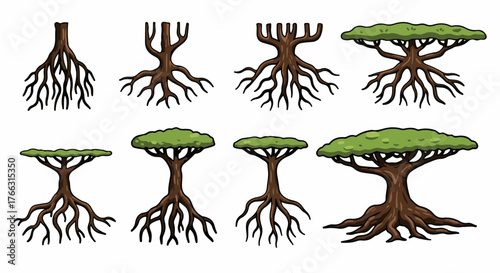 Tree root systems with various canopy shapes