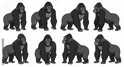 Standing gorilla set with transparent background