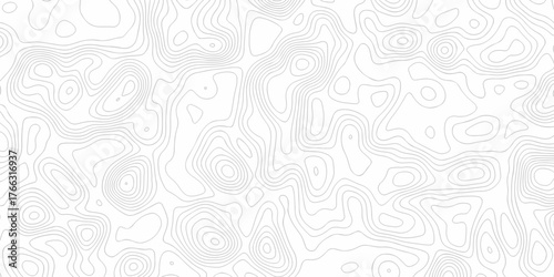 Minimal white line geometric grid outline curve counter map and wavy topography relief discovery area white, black line texture background.	