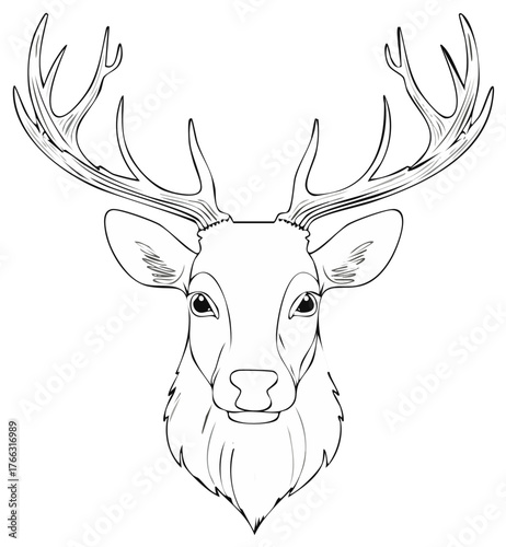 Deer Head Line Art Vector Illustration Animal with Antlers Wildlife Contour Drawing