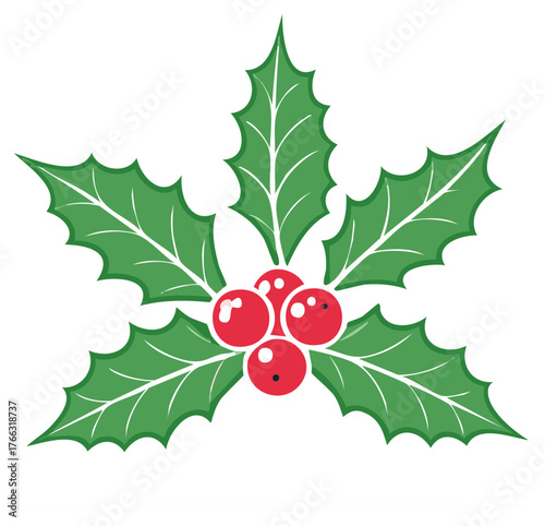 Holiday Holly Berry Illustration with Spiky Green Leaves on White Background