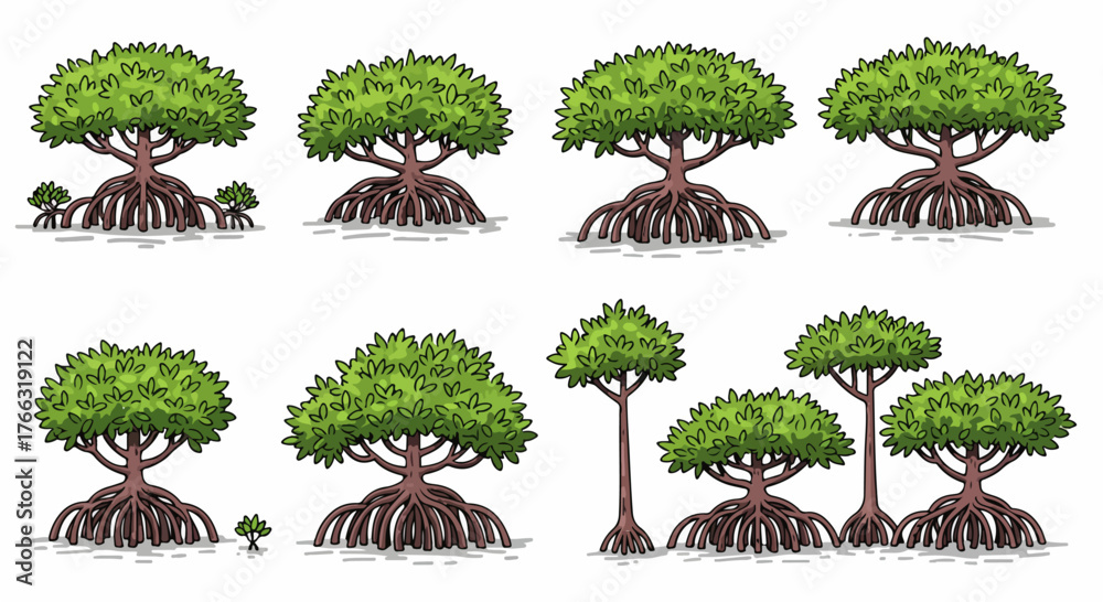 Obraz premium Mangrove trees with visible roots