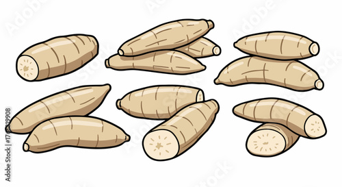 Taro root isolated with transparent background