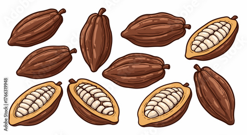 Cocoa pods whole and halved with transparent background