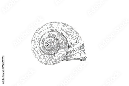 Abstract White Spiral Formation Against Black Background