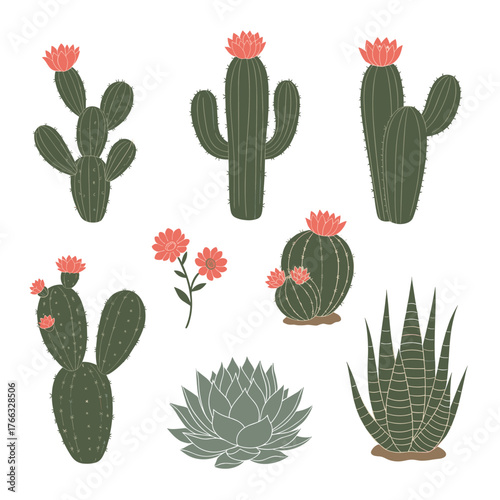 Collection of various illustrated cacti and succulent plants.