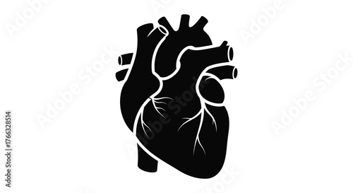 Detailed black silhouette of a human heart with visible arteries and veins against a white background silhouette