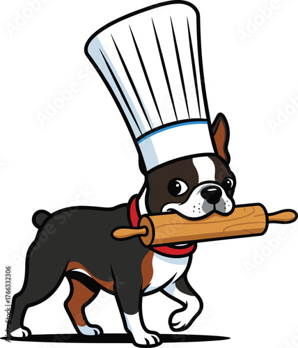 Boston Terrier chef illustration, cartoon dog with rolling pin, funny pet artwork, whimsical cooking design, culinary vector character background
