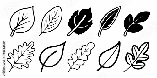 Vector illustration showing a variety of ten different leaves in black and white outline style on a white background