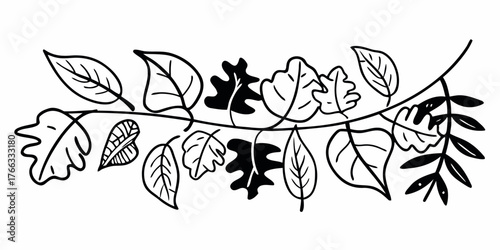 Vector illustration of a branch with various leaves in black and white line art style on a white background