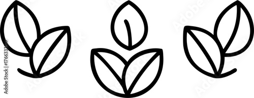 Vector three minimalist leaf sprout designs arranged in a horizontal line on a white background space here