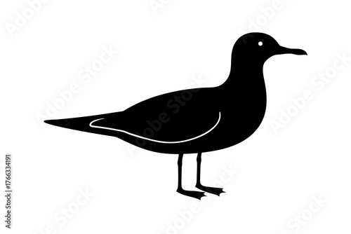 A stark black silhouette of a seagull standing on its webbed feet depicted in profile against a clean white background isolated on white background silhouette