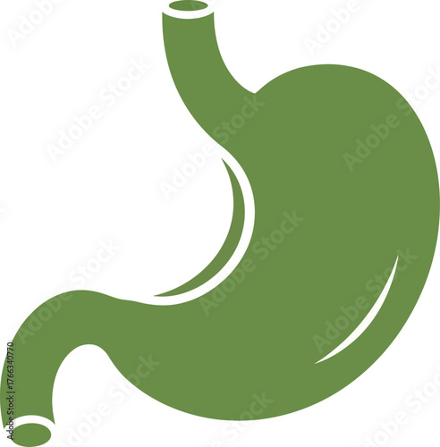 Abstract silhouette illustration of the human stomach in a minimalist vector design style