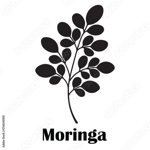 Moringa Leaf Silhouette Icon – Superfood & Herbal Wellness Illustration