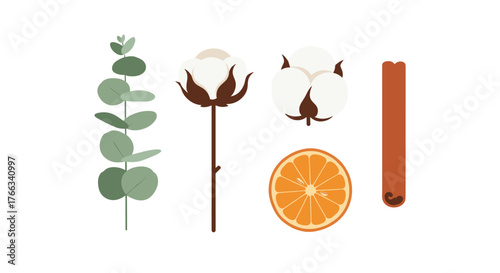 Eucalyptus branch, cotton flowers, orange slice, and cinnamon stick creating a warm, natural, and inviting aesthetic for aromatherapy, wellness, or seasonal decor projects.