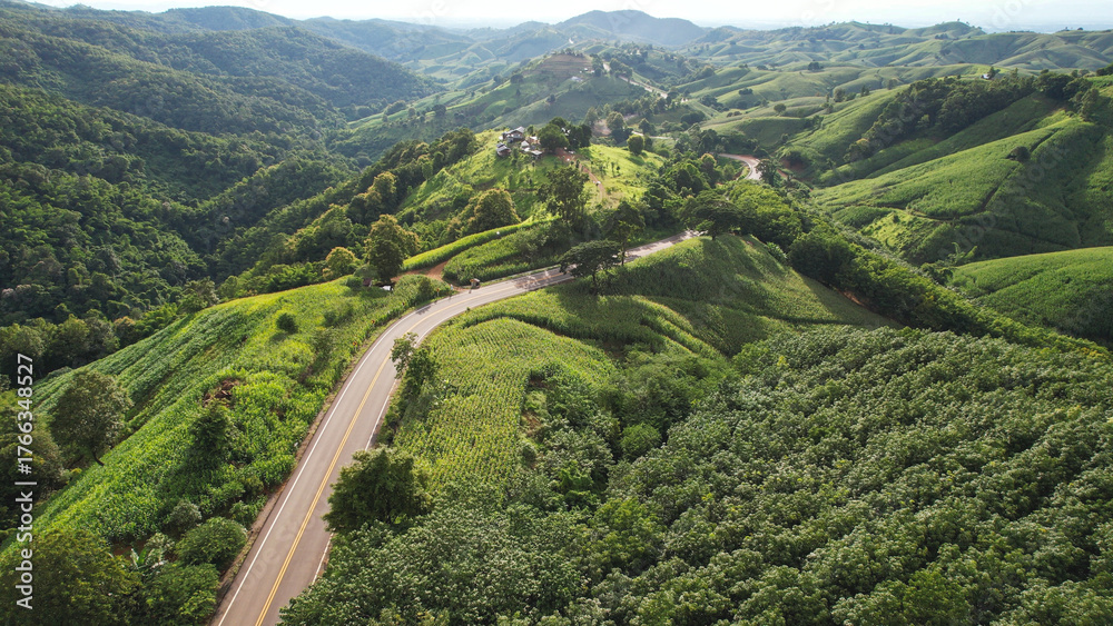 Naklejka premium Aerial view of the greenery hills and mountain road by drone