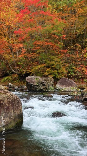 vertical video of waterfall in autumn forest