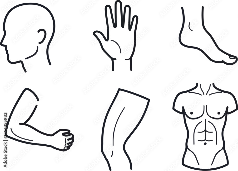 Obraz premium Vector line art collection depicting various human body parts head, hand, foot, arm, leg, and torso, suitable for health and medical graphics