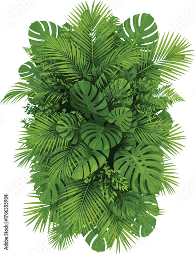 Tropical green leaves, dense foliage background, monstera and palm fronds, botanical nature pattern, lush jungle plants, exotic rainforest design, natural texture