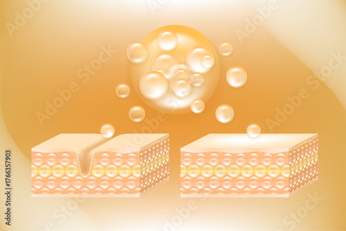 Hyaluronic acid and Niacinamide before and after skin solutions ad, gold collagen serum drops into skin cell with cosmetic advertising background ready to use, illustration vector.