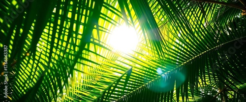 Vibrant green palm fronds, sunlight dappled, lush tropical foliage,  lush,   illustration