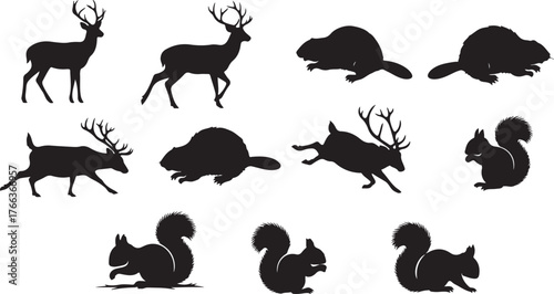 North american wildlife silhouette collection deer beaver rabbit squirrel naturalistic design elements vector