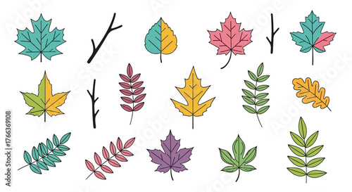 Colorful Hand Drawn Autumn Leaves and Branches Collection.