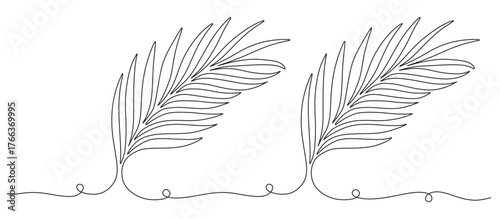 continuous line of palm leave...