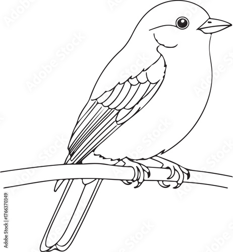 Elegant line art drawing of a bird perched on a branch for nature-themed designs
