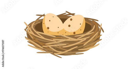 Two speckled eggs nestled safely in a cozy, twig bird's nest, symbolizing new life and potential.