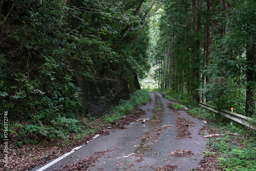 Photos 栃木県の荒れた山道