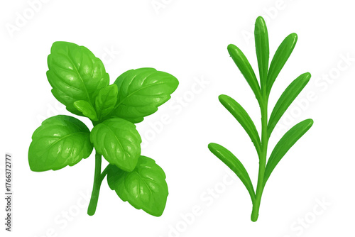 3D mint and rosemary leaves with fresh green color and realistic glossy style. Ideal for herbal design, organic product branding, and botanical art.
