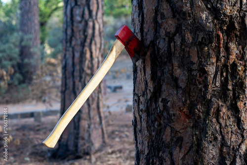 Red axe embedded in tree trunk in a rustic outdoor forest setting