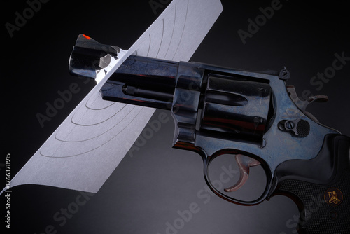 Tableau sur toile Pistol & target, .41 Smith & Wesson magnum, gun control