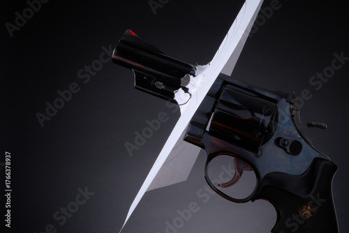 Wall Mural Pistol & target, .41 Smith & Wesson magnum, gun control