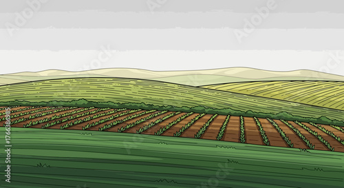 Scenic illustrated agricultural landscape featuring neat rows of cultivated crops and undulating green hills under a soft, overcast sky, evoking themes of farming, nature, and rural life