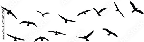 Bird silhouettes in flight, dynamic avian motion illustration, flock migration design for nature, wildlife, sky art, and educational use