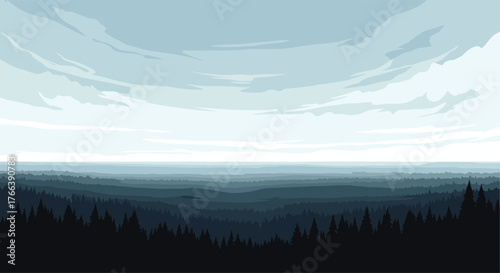 Vast expanse of forest under a cloudy sky.