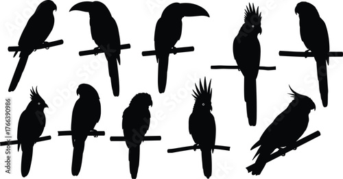 Bird silhouettes, perched birds, tropical bird illustration, exotic bird artwork, aviary design, wildlife silhouettes, parrot shapes, bird collection, animal design, silhouette art